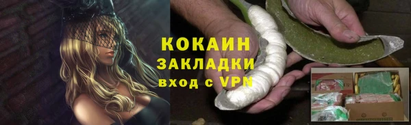 тгк Алзамай