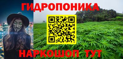 ешки Новодвинск
