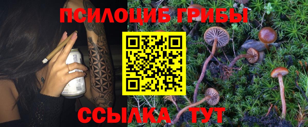 Галлюциногенные грибы Magic Shrooms  Вход с VPN  Галлюциногенные грибы мухоморы  Сызрань 