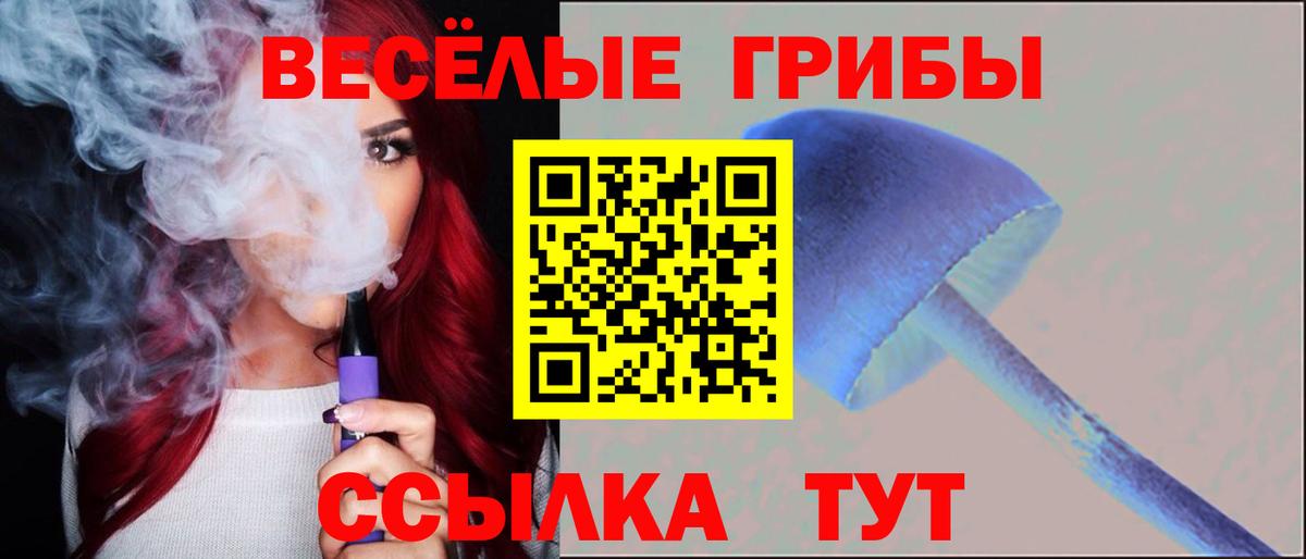 Псилоцибиновые грибы GOLDEN TEACHER Сызрань